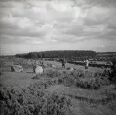 Arkeologisk undersökning på Nybyåsen.