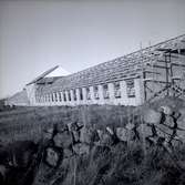 Husbygge av vad som blev Thuressons hönsfarm i Gillsätra, Glömminge. Företaget grundades av Sigvard Thuresson 1950. Idag drivs det av sonen Agne Thuresson och Yvonne Rydberg.