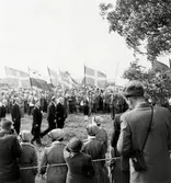 N. Vånga sn. Hans Majestät Konung Gustav VI Adolf på Lumbers hög den 19 augusti 1951.