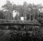 N. Vånga sn. Fornminnesgården. Excelsiorfören. Hembygdens fornpark. 