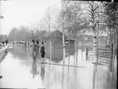 Översvämning, Rättvik, Dalarna 1909