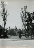 Kalmar slott och Sylvanderparken i förgrunden omkring 1932-1935.