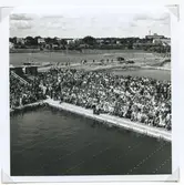 Ögonblicksbild från SM i simning, som 1946 hölls vid Långviksbadet i Kalmar.