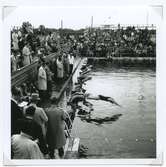 Startskottet har gått vid SM i simning, som 1946 hölls vid Långviksbadet i Kalmar.