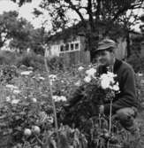 Blomsterodlare sitter bland blommor på Egna hem i Huskvarna.