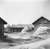 Höstackar på Östra Eknö.