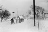 Trelleborgs stads byggnadskontor, snöskottning februari 1940, 14518.