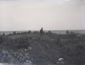 Skallö, bilden tagen på Skallö.