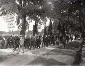 Demonstration mot vräkningarna i Möre 8/9 1929. Demonstrationståget på väg från Ljungbyholms järnvägstation.