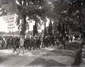 Demonstration mot vräkningarna i Möre 8/9 1929. Demonstrationståget på väg från Ljungbyholms järnvägstation.