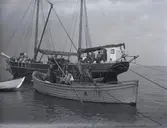 Skutan Venus av Drag bärgar vrakdelar från Elefanten, det stora örlogsfartyg som sjönk vid Björkenäs 1564. Elefantens akterspegel finns nu på Sjöhistoriska museet i Stockholm.