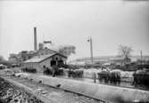 Kävlinge sockerfabrik december 1937, 12827.