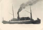 Isbrytande ångfartyg 1902.