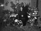 Fru Rasmusson Bergalid, 19877.