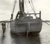 Förlig Wind
Galeas, Pataholm