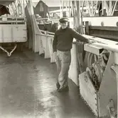 Kalmarsundsbåtarna
Matros Jonson