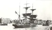 Madonna av Kalmar (1910)
430 tonn, byggd i Grimstad 1880.
Inköpt från Norge.
Torpederad 1915