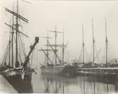 Sigrun vid kaj i Oslo 1904.


Från venster: SKsSkib 