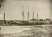 Svanen i Härnösands hamn cirka 1915-20.