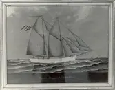 Ultimus.
Slätskonare
Bergkvara
Målning. Cirka 1895?

Text: Ultimus från Bergkwara fört av Captain P. Carlsson. Utställning Möre skans 1938. Ägare: G. Alm, Gökalund.

Skonert, byggd 1875 i Karlskrona. Hörde 1885 hemma i Bergkvara med G. Nilsson som redare och befälhavare; 1895 samma redare, P. Carlsson befälhavare. 1910 hör hon hemma i Oskarshamn med J.P. Loman som redare och befälhavare. Saknas i 1915 års skeppslista.