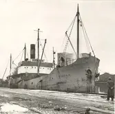 Windar av Kalmar

Foto 1956