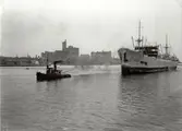Yngaren med lotsbåt. S/S YNGAREN. levererades  till Rederi AB Transatlantic (G. Carlsson), Göteborg, 1921.