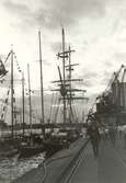 Tall Ships Race
Malmö 1972
