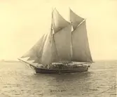 Kronan, skonare från Figeholm.