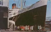 RMS Queen Mary.

Passat är syster till Pommern o Padua. Seglade för Gustaf Eriksson på Åland på vetetraden till Australien. Pommern är i dag museifartyg i Mariehamn. Passat i Travemünde. Padua togs som krigsbyte av ryssarna och seglar nu som skolfartyget Krusenstern