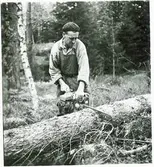 Okänd man med motorsåg.  8/10 1952.