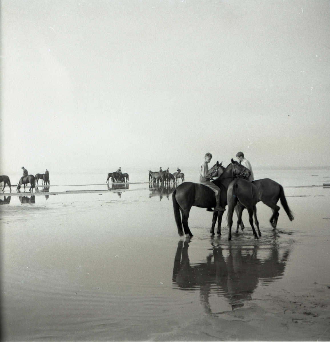 Bo Sallmander, Värnpliktiga på stranden med sina hästar. Norrlands dragonregemente K4, Umeå, 1955-1956.