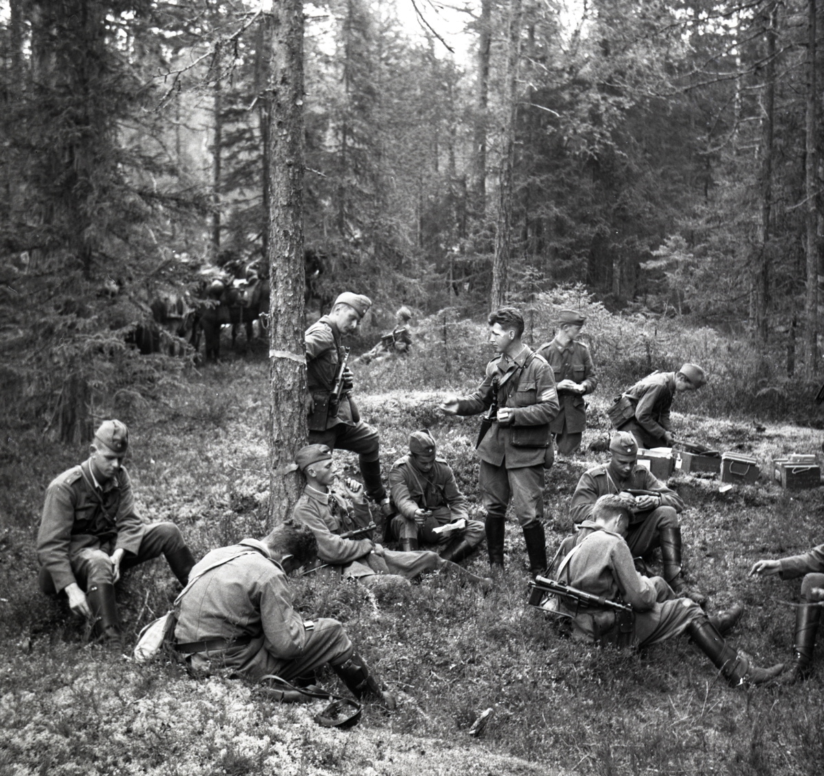 Bo Sallmander, Rast i skogen. Norrlands dragonregemente K4, Umeå, 1955-1956.