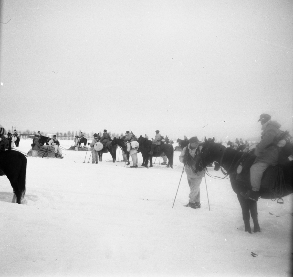 Bo Sallmander, Soldiers and horses in winter practice at Norrland dragonregemente K4, Umeå, 1955-1956.