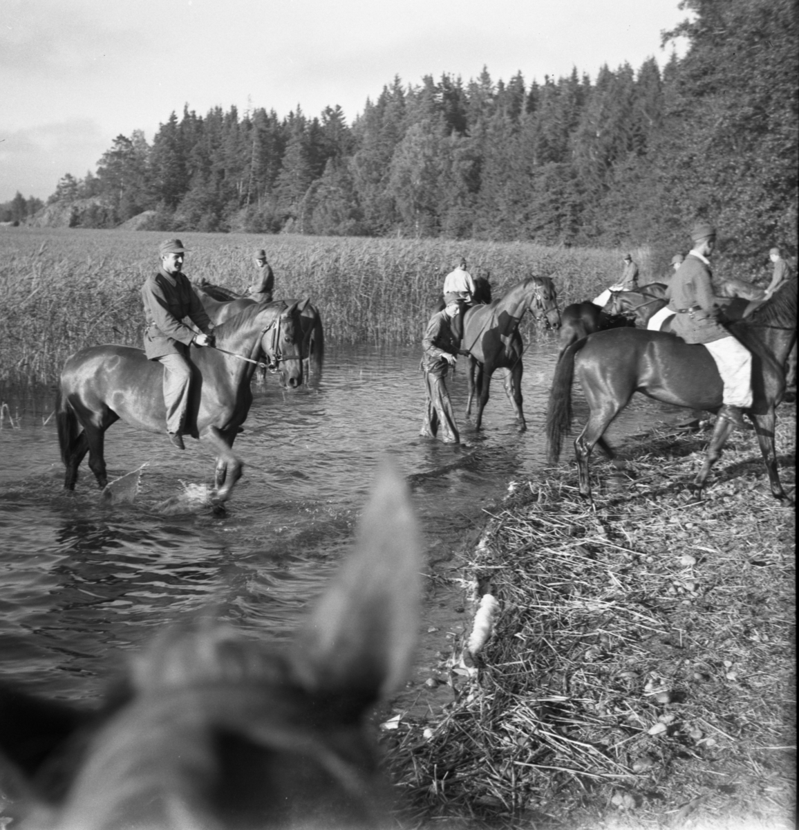 Bo Sallmander, Cavalrymen at a lake. Norrland dragon regiment K4, Umeå, 1955-1956.