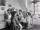 Interiör. Troligen Kullagård. Fyra (4) kvinnor och en hund.