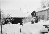 Tyra och Brita ute i snön, Östhammar, Uppland 1907