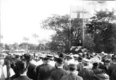 Uppländska ungdomsmötet på Sjötorget, i talarstolen Josef Ericsson, Östhammar, Uppland 1909