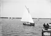 Kappsegling på Östhammarsfjärden, Östhammar, Uppland 1890-tal