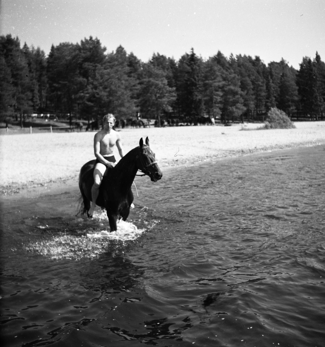 Bo Sallmander, Värnpliktig på stranden med sin häst, Norrlands dragonregemente K4, Umeå, 1955-1956.