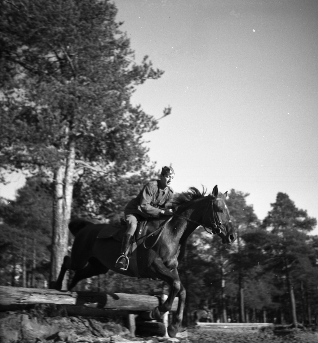 Bo Sallmander, Kavallerist hoppar över hinder. Norrlands dragonregemente K4, Umeå, 1955-1956.
