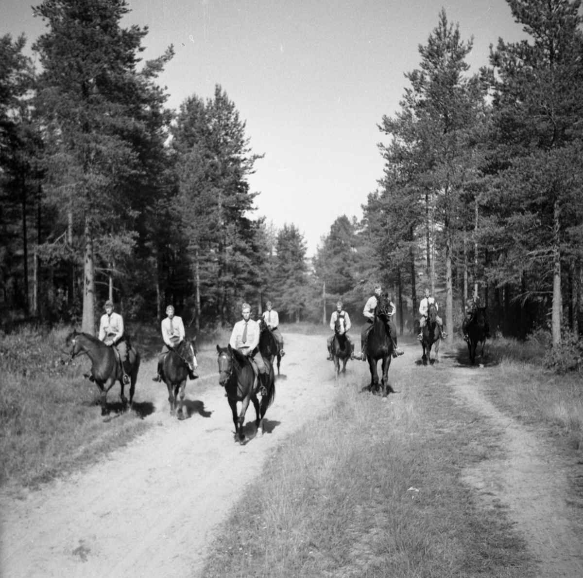 Bo Sallmander, Ridtur på skogsvägen med värnpliktiga från Norrlands dragonregemente K4, Umeå, 1955-1956.