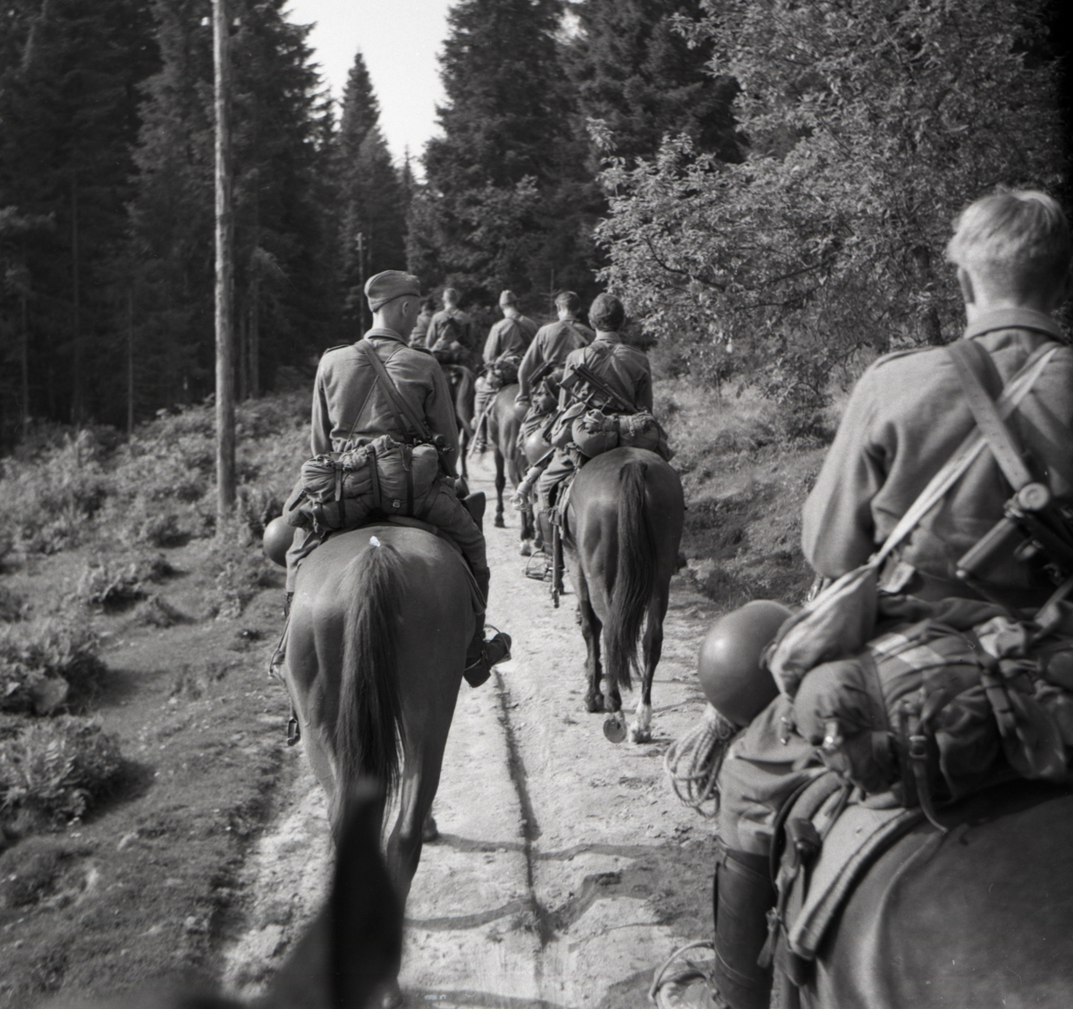 Bo Sallmander, Värnpliktiga rider på en väg. Norrlands dragonregemente K4, Umeå, 1955-1956.