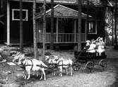 Lekande barn, vagn med fyra barn dragen av fyra getter.
Knut Lindgren