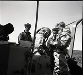 Dykare på jakt efter ett störtat flygplan.