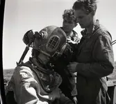 Dykare på jakt efter ett störtat flygplan.