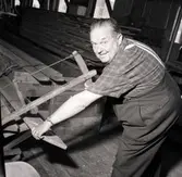 TV-Elvis sågar, på uppdrag av Hylands Hörna.