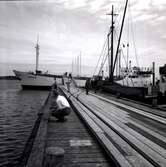 Byxelkroks hamn, M/S Nordpol 14/6 1959.