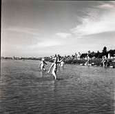 Barn som badar vid en badstrand som är belägen i närheten av en sjöstuga.