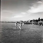 Barn som badar vid en badstrand som är belägen i närheten av en sjöstuga.