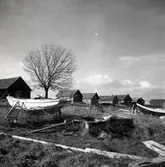 Södra Greda fiskeläge, fredag 28/10 1960.